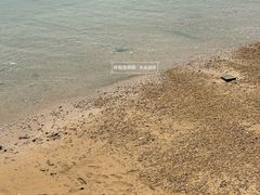 -星海广场