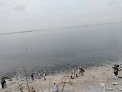 -养马岛旅游度假区