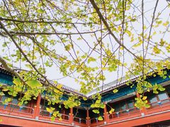 -北京石刻艺术博物馆(五塔寺)