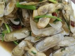 蛏子-四海鲜渔家菜(黄金海岸店)