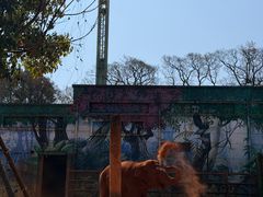 -昆明动物园