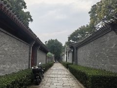 -春风习习