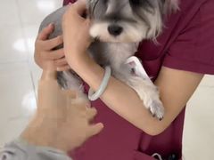 -美联众合动物医院·24h京西诊疗中心