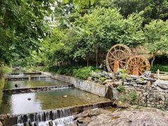 -广州白江湖森林公园