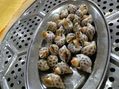 花螺-蚝专家(北滘店)