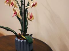 -Again Coffee Roaster(香蜜湖店)