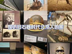 -北京周口店北京人遗址博物馆