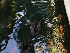 -湖鲜楼