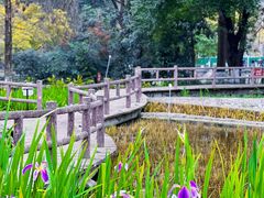 -成都市活水公园