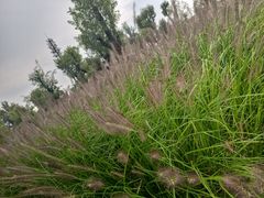 -汉长安城未央宫国家考古遗址公园