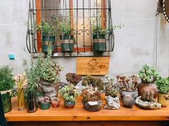 -又至园精品咖啡馆(将军塘店)