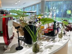 -木嘛working coffee&bar(碧道馆店)