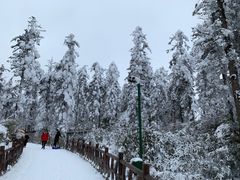 -瓦屋山景区