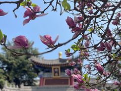 -西安市广仁寺