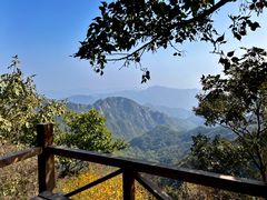 -大岭沟猕猴桃谷风景区