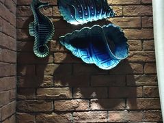 -海桐