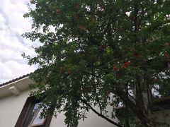 -悦哉·派对·草坪婚礼·围炉煮茶(三圣乡店)