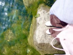 -滆湖低碳生态公园