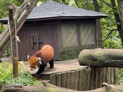 -云南野生动物园