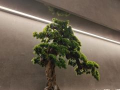 -闫府私房菜·老字号(恒隆店)