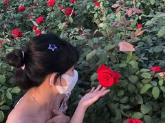 -石家庄市植物园