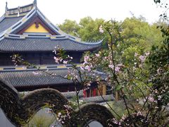 -惠山古镇·寄畅园