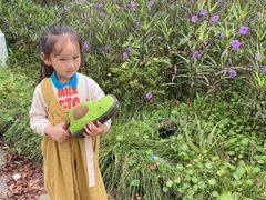 -桃园农庄·桃源宴