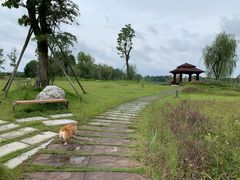 -中国天府农业博览园