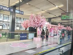 -循礼门鲜花花市(武汉循礼门店)