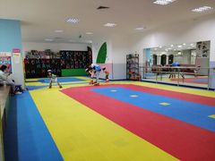 -米高轮滑·自由式轮滑·速桩·滑板(锦辉店)