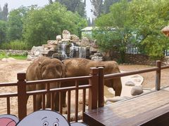 -北京野生动物园