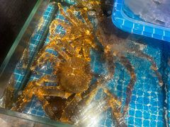 -崂山印象·青岛·海鲜渔家菜