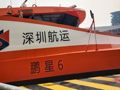-招商蛇口邮轮母港(观光客运)