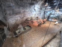 -Zoolung Zoolung动物主题公园(海信广场店)