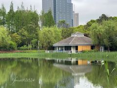 -新虹桥中心花园