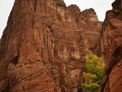 -天山神秘大峡谷