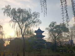 -迎泽公园