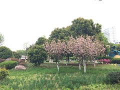 iphone_upload_pic-宁波儿童公园(鄞州区)