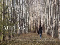 -赛汗塔拉风情园