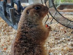 -珠海海泉湾神秘岛亲子乐园