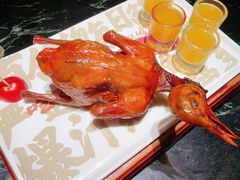 -大鸽饭(北京路店)
