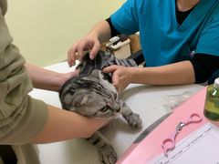 -美联众合24小时·皮肤科·外科·全科诊疗中心(华苑分院)