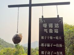 -呀诺达热带雨林