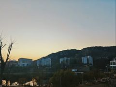 -青岛大学(金家岭校区)