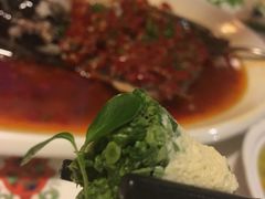 -九朝会昆曲·宴(望京店)