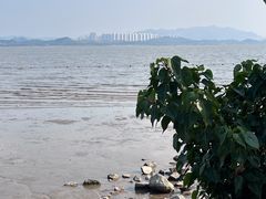 -深圳湾公园(南山区)