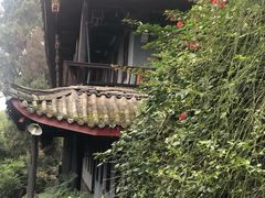 -峨眉山报国寺