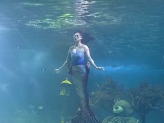 -常州海昌海洋探索馆