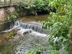 -鼎湖山风景区