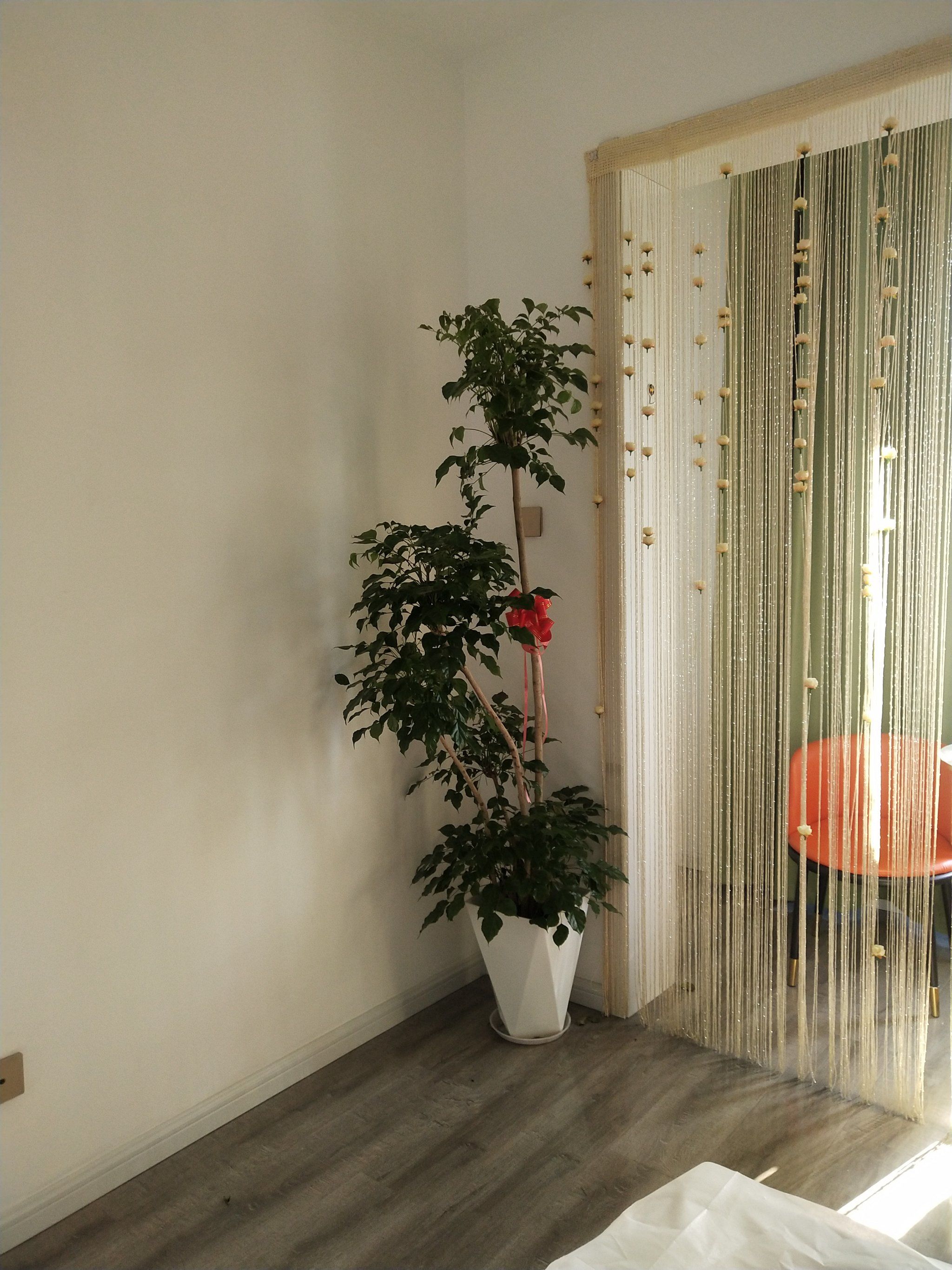 家里布置新意境